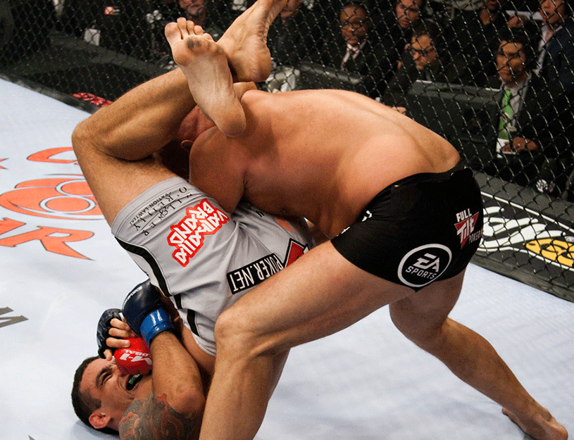 fedor-emelianenko-werdum