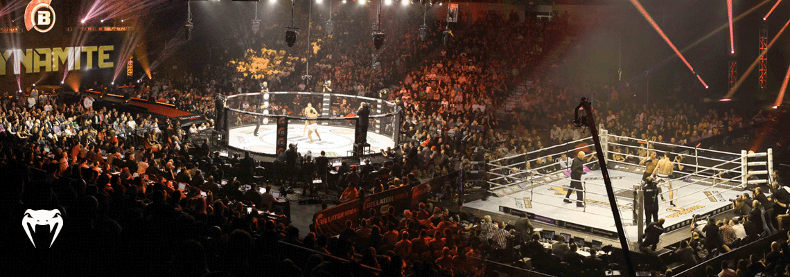 Conheça os principais eventos de MMA no mundo