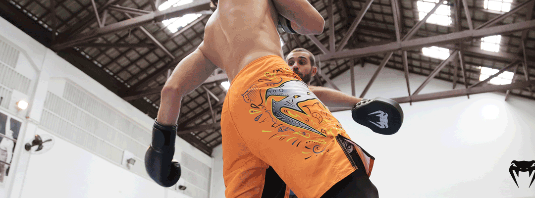 Venum Boxe: Dicas para seu treino de manopla