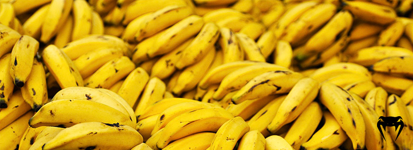 melhores-carboidratos-banana