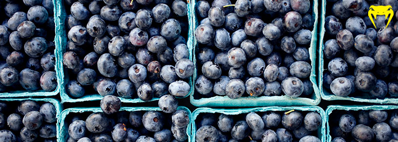 músculos-frutas-mirtilo-blueberry