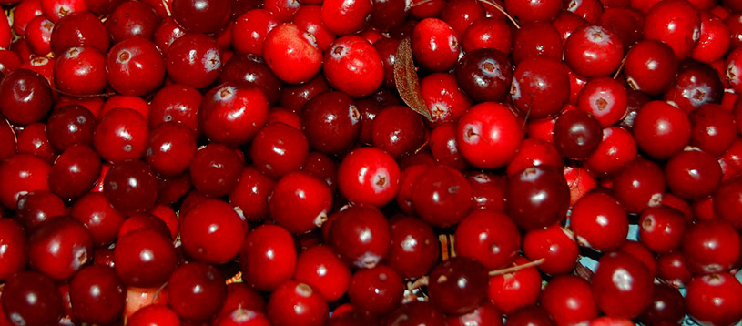 cranberries-957583_960_720