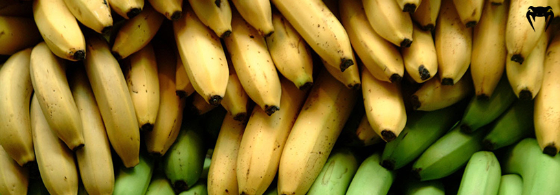 alimentos-para-aumentar-a-energia-bananas