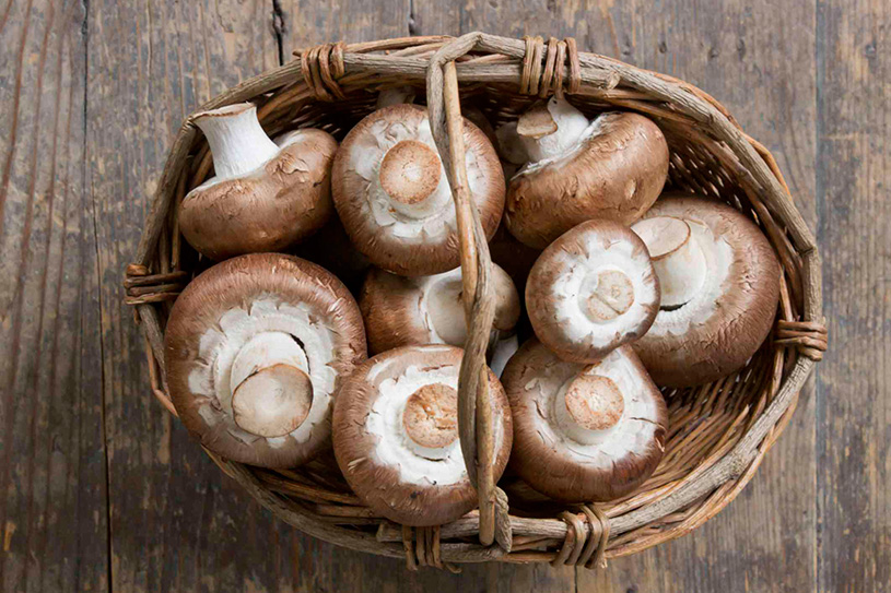 combater-a-inflamação-alimentos-cogumelos